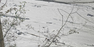 Harşit Çayı'nda tehlike çanları çalıyor