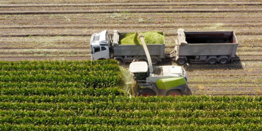 306 milyon liralık tarımsal destekleme ödemesi gerçekleşt