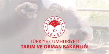 Tarım ve Orman Bakanlığı, şap hastalığının kontrol altına aldığını açıkladı