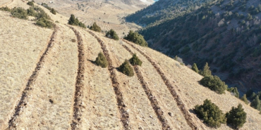 Doğu Anadolu’da yaklaşık 9 milyon fidan ve tohum toprakla buluşturuldu