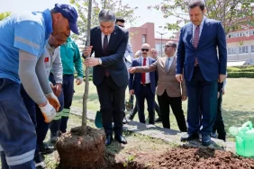 Adana-valiliginin-bahcesinde-36-turunc-agaci-toprakla-bulustu.webp.webp